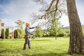 Best Firewood Processing and Delivery  in Independence, VA