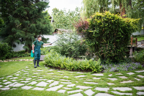 Best Soil Testing and Treatment  in Independence, VA